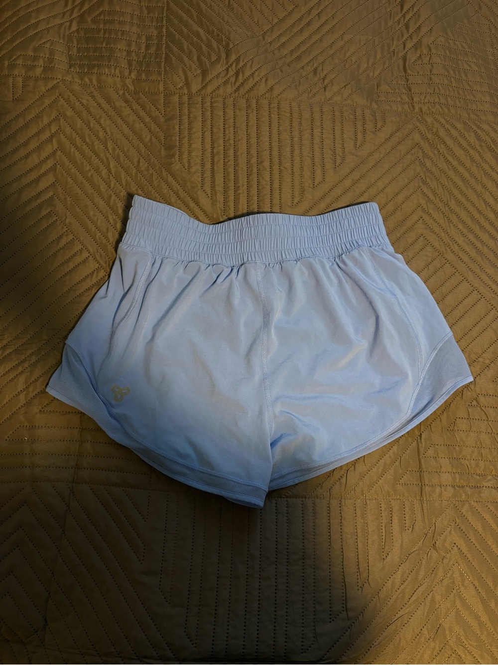 ARITZIA Light Blue Women's Athletic Shorts